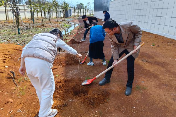 5鄂东养护片区植树_副本.jpg